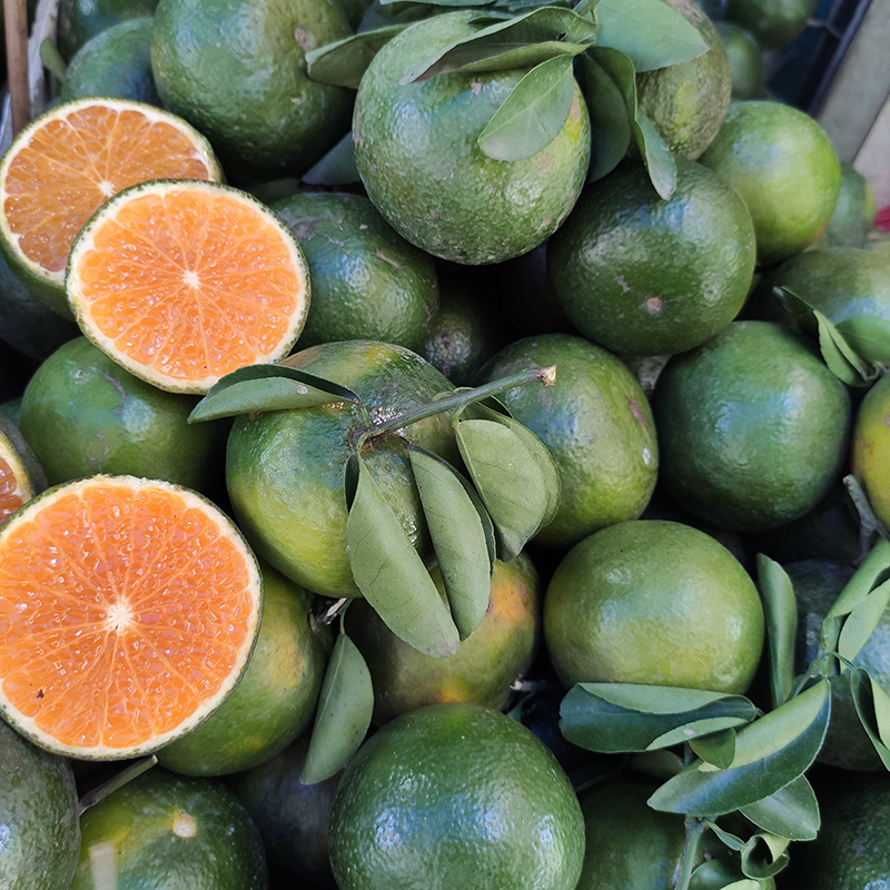 Cam sành trái nhỏ